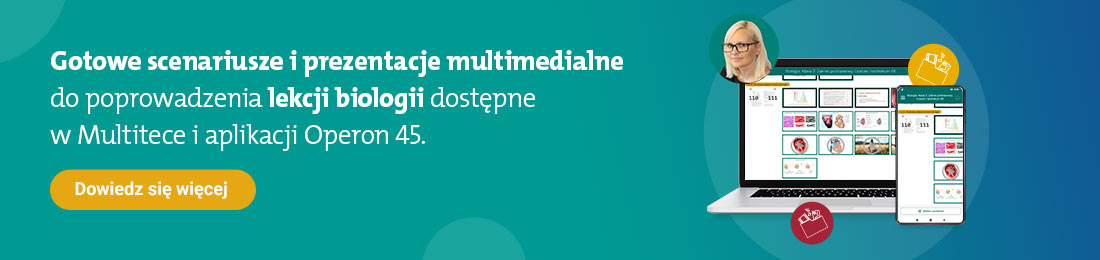 baner webinary
