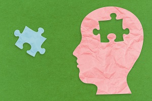 mozg puzzle