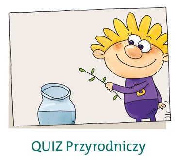 quiz